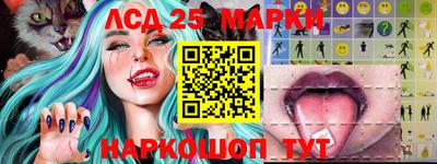 индика Абакан