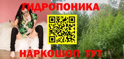 индика Абакан