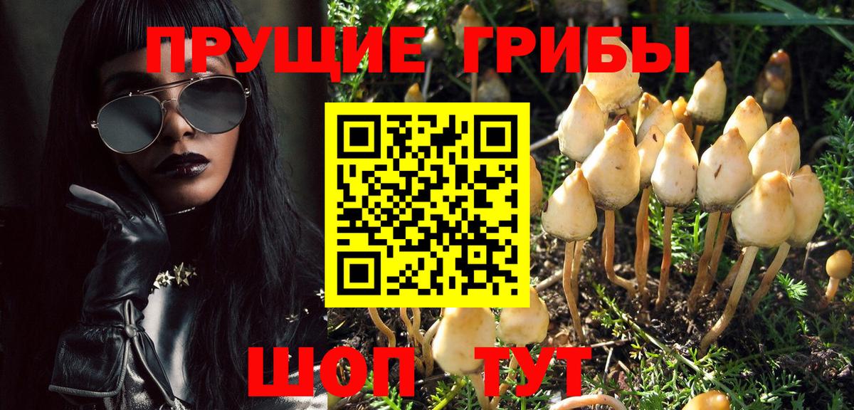 Псилоцибиновые грибы MAGIC MUSHROOMS  Вход с VPN  купить наркотики цена  Абинск  Псилоцибиновые грибы ЛСД 
