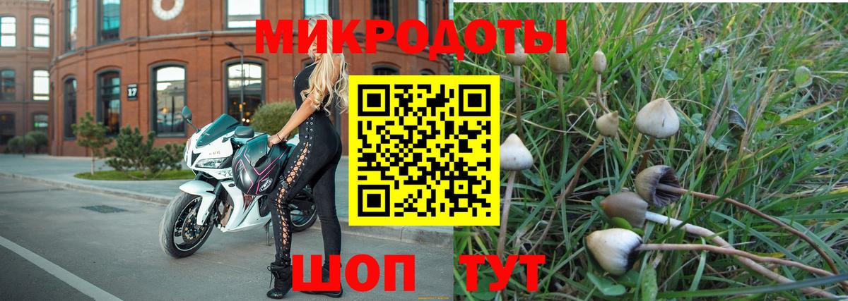 Галлюциногенные грибы Cubensis Абинск